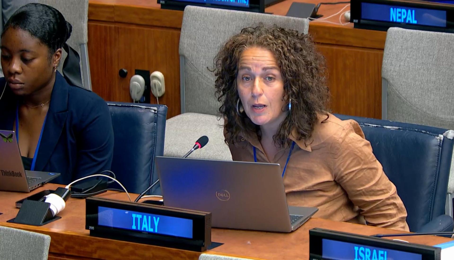 17 LUGLIO_(8th meeting) HLPF 2025